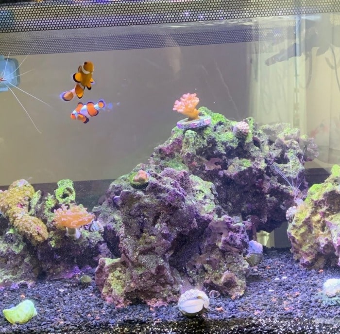 Pictured, tank with Low temperature