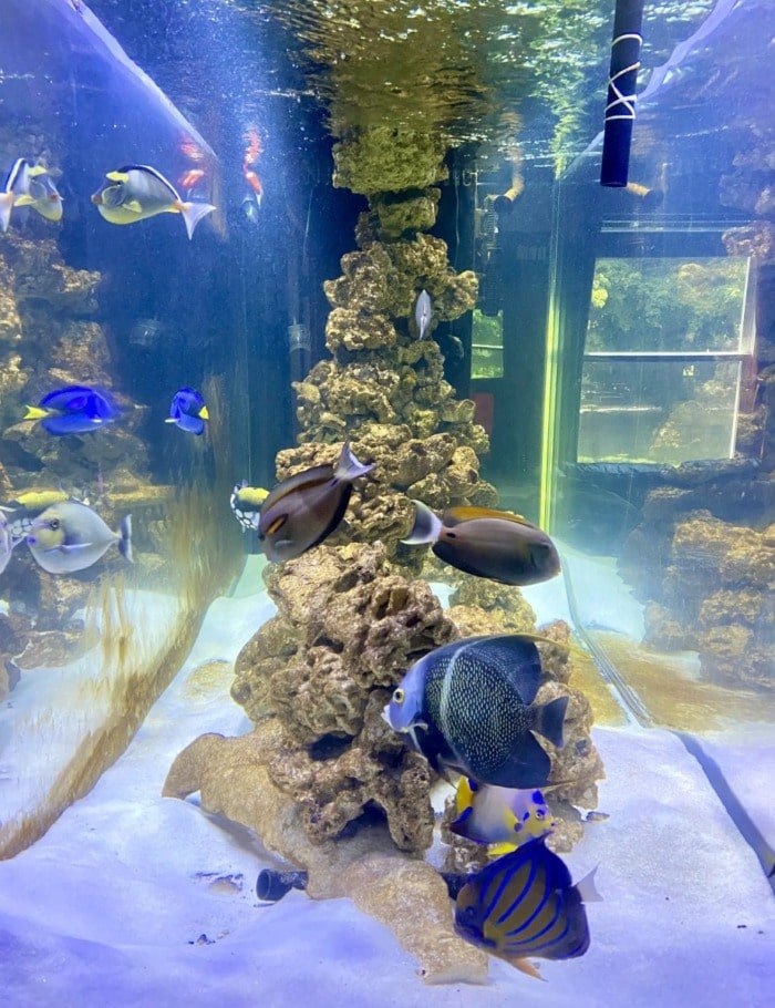 Water change