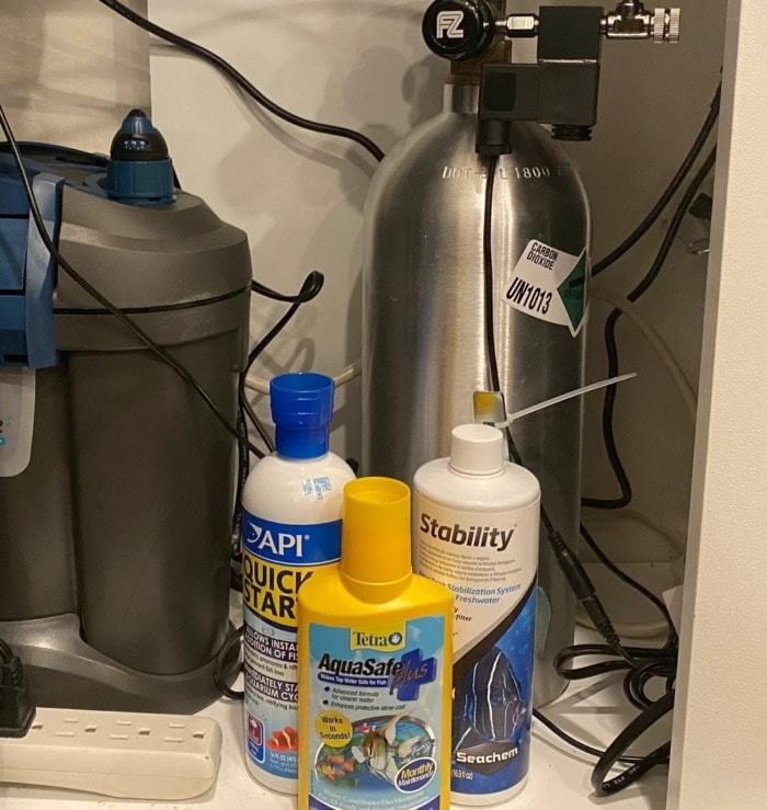 api vs tetra bacteria