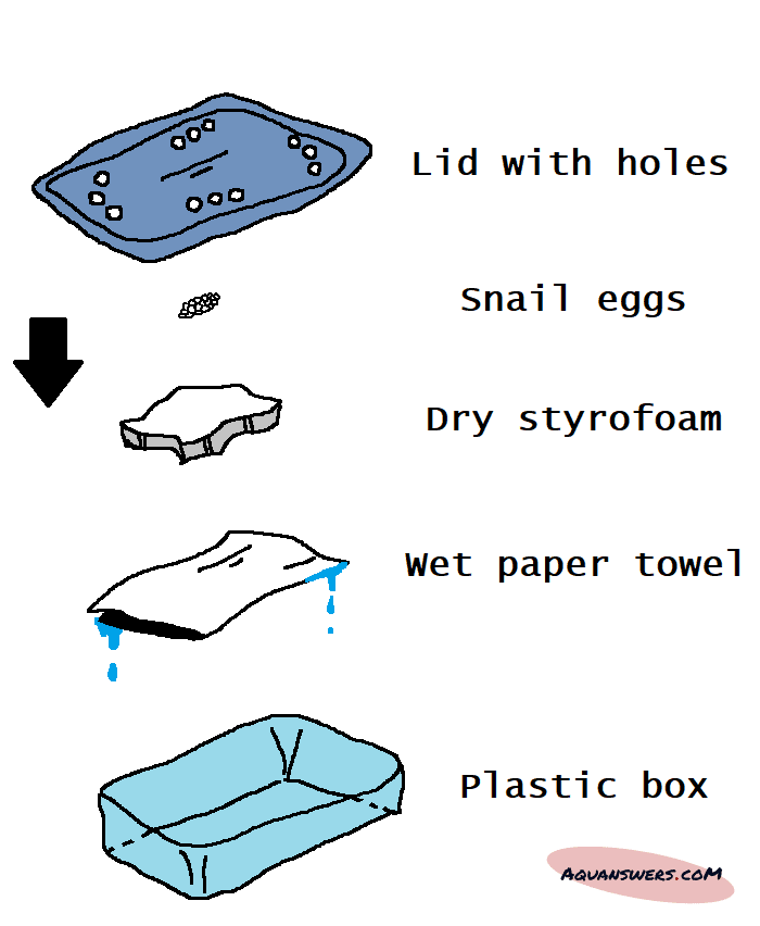 This is how to make a DIY egg incubator