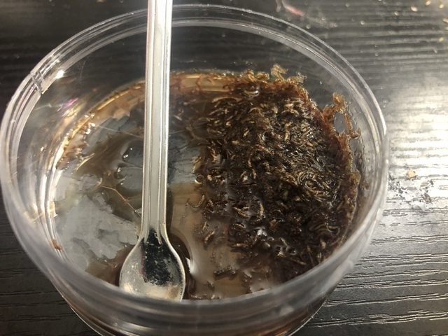 Freeze dried foods