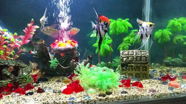 Creating a Balanced and Functional Decorative Setup