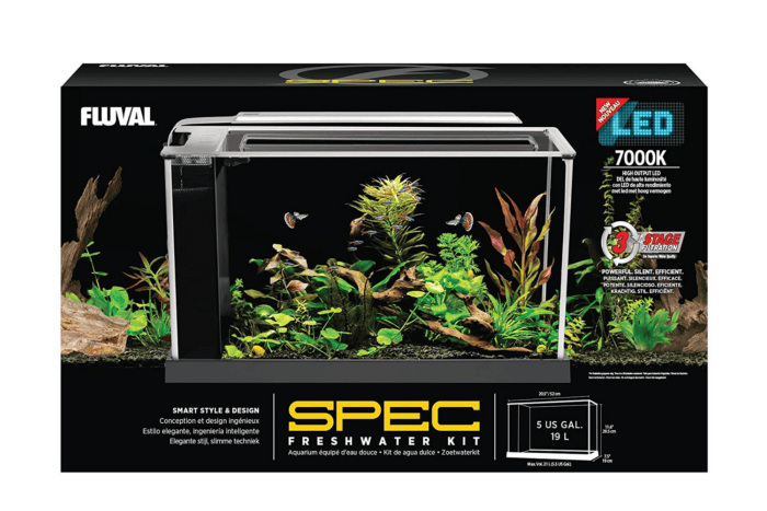 How to choose the best Betta Fish tank setup?