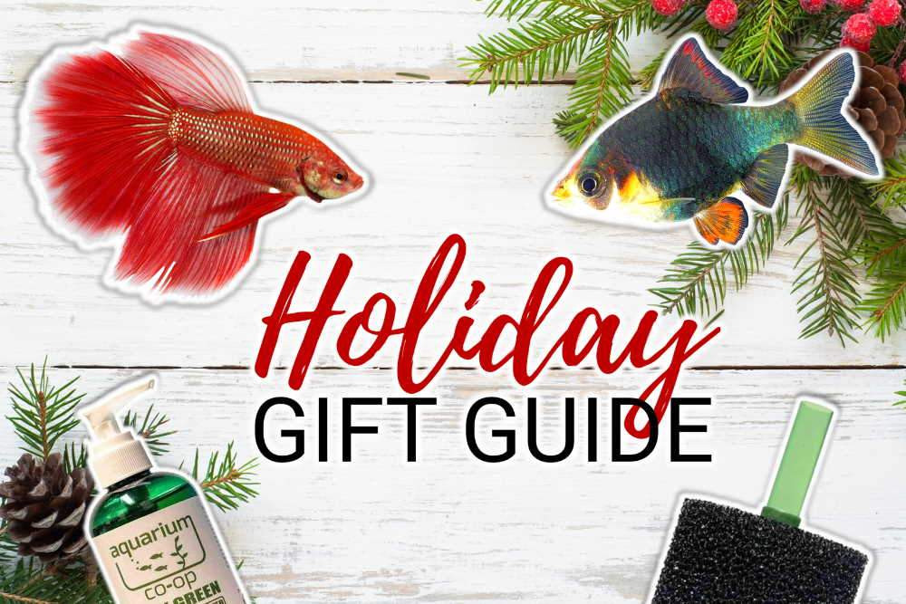 A festive diagram for holiday gifting guide.