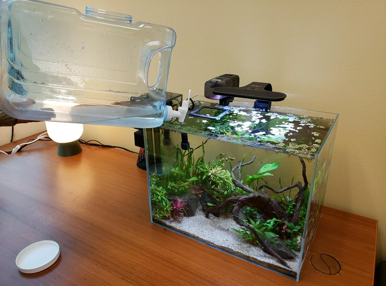 Water Change in Progress