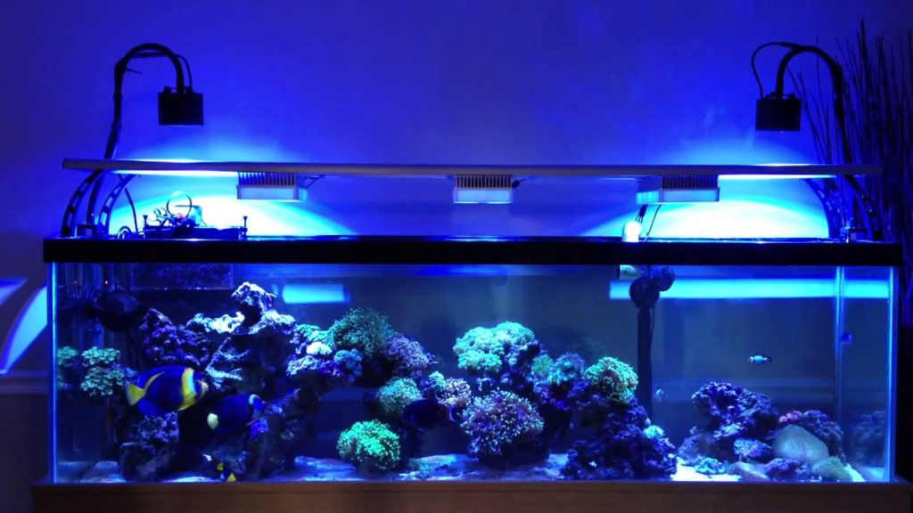 Plan Your Dream Setup