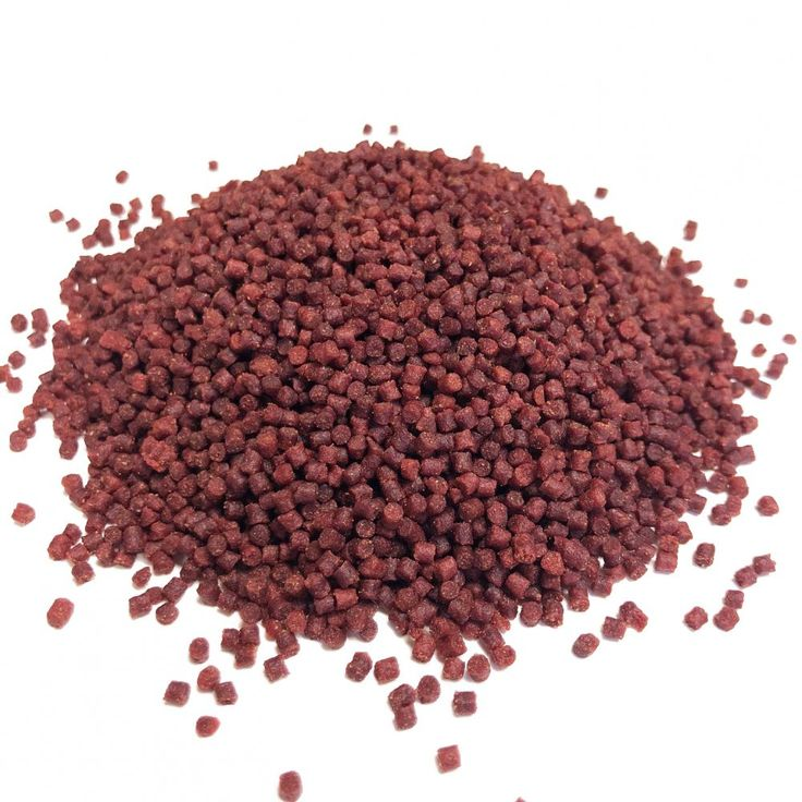 Pictured, fish food pellets