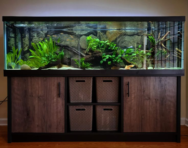 Installing and Setting Up a 125 Gallon Fish Tank