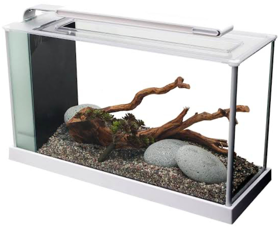 A Fluval Spec V with its glass cover, built in light, and filtration system on a white background.