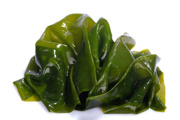 Blanched Algae