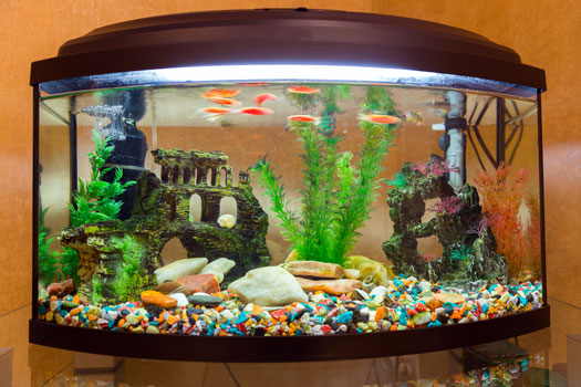 Factors to Consider Before Choosing Decorations