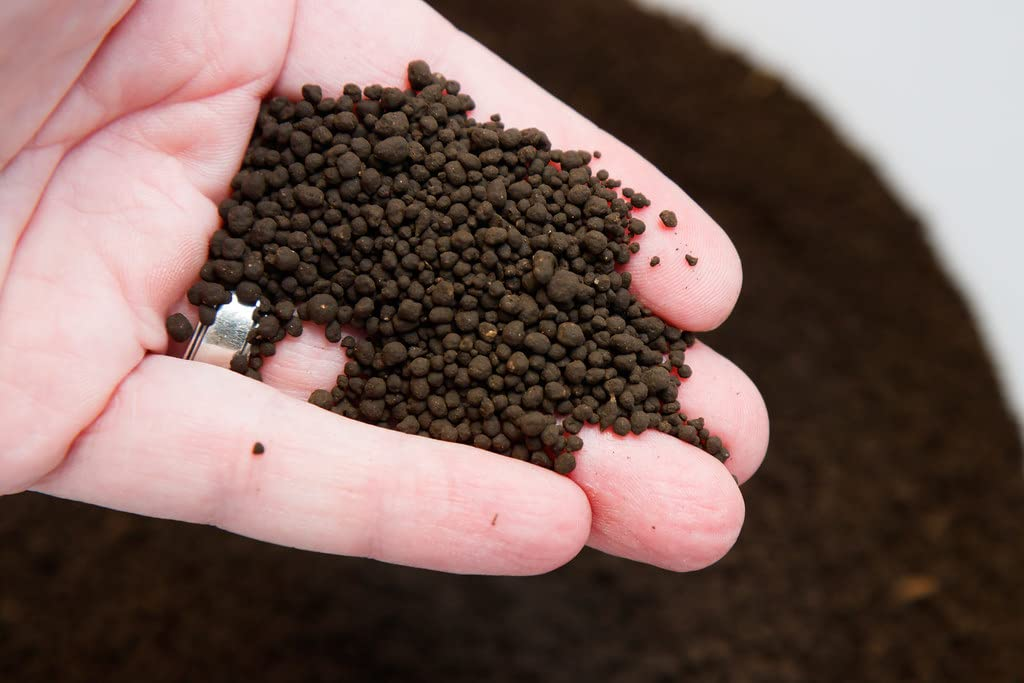 Pictured, ADA Aqua Soil
