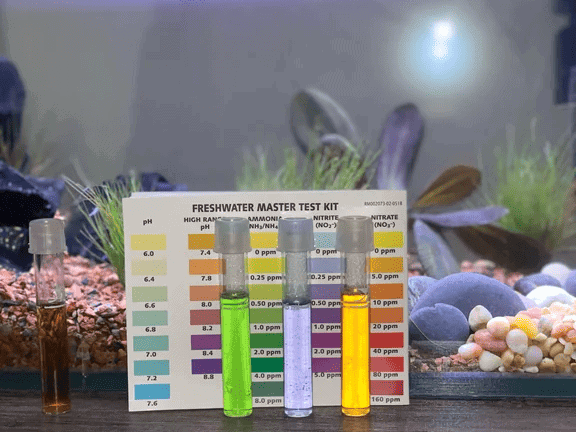 Testing aquarium water parameters