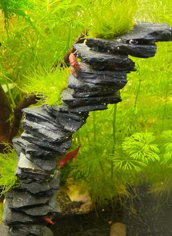 Is the Common Super Glue Safe for Use in Aquariums AquAnswers