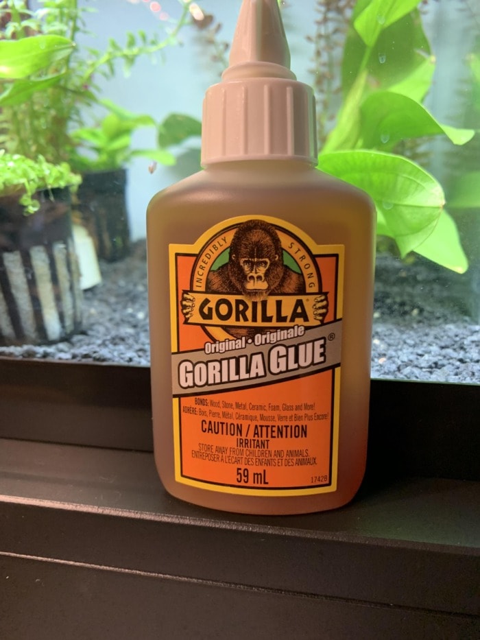 A bottle of Gorila super glue on display in front of a planted aquarium