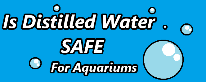 Mystery Solved Is Distilled Water Particularly Good For Fish Tanks Aquanswers