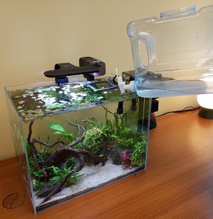 А planted fish tank getting topped off with distilled water