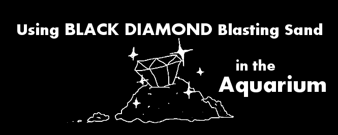 black diamond blasting sand aquarium header
