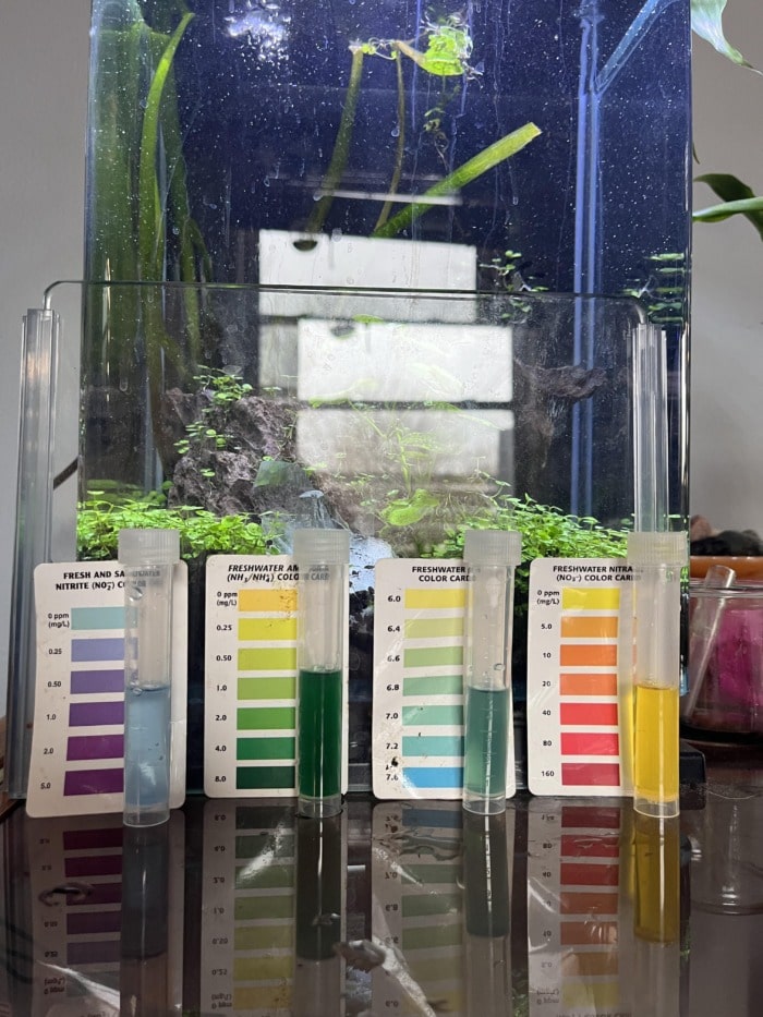 Test your aquarium water for poor quality indicators