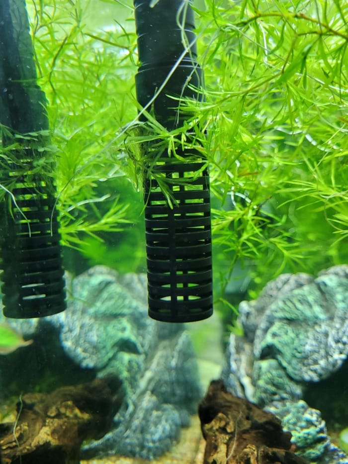 Why Use Aquarium Filter Floss and Where to Get it Dirt Cheap