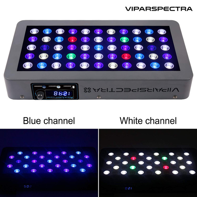 viparspectra