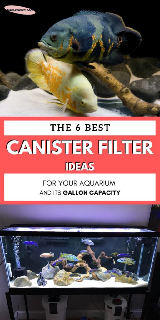 The 7 Best Aquarium Canister Filters Reviewed (2024) AquAnswers