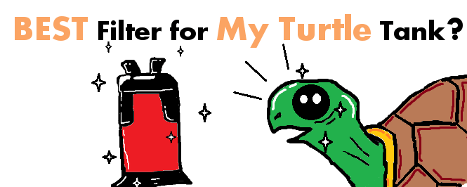 best filter for turtle tank header
