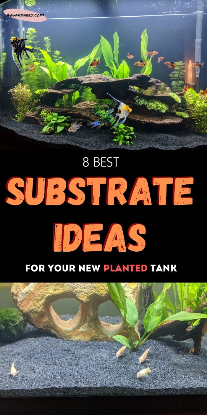 What are some substrate ideas for new planted tanks?