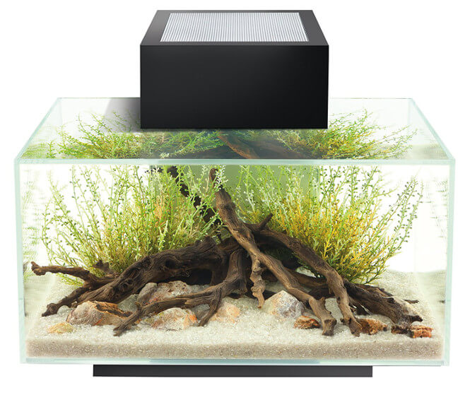 fluval edge 2.0