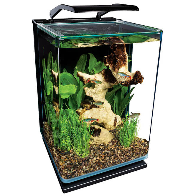 marineland portrait glass aquarium kit