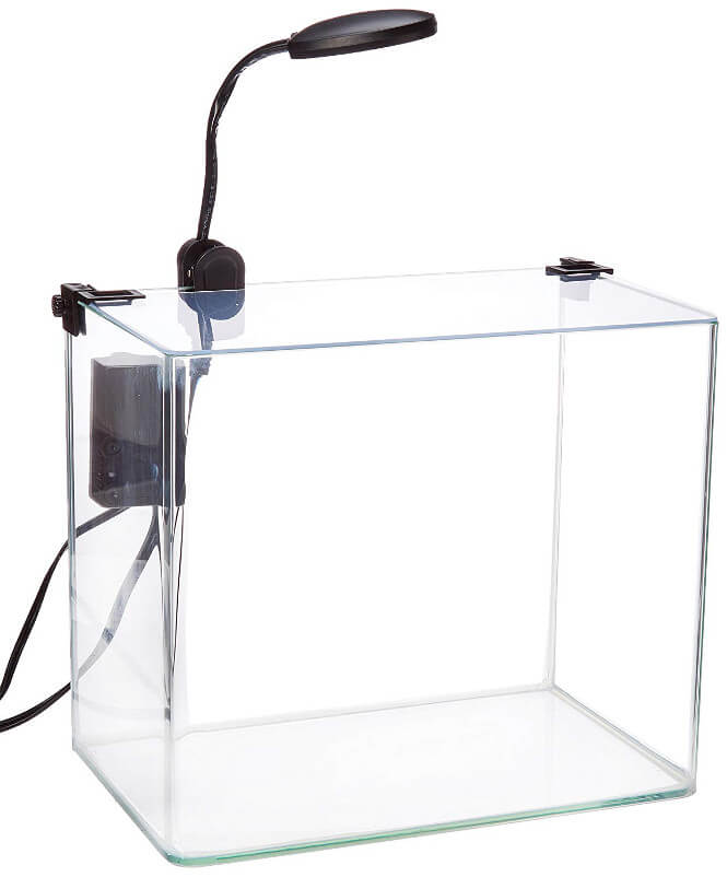 penn plax curved corner glass aquarium kit