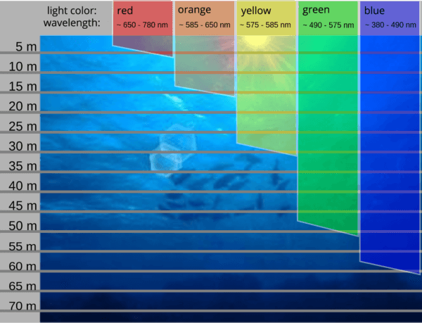 water penetration of light