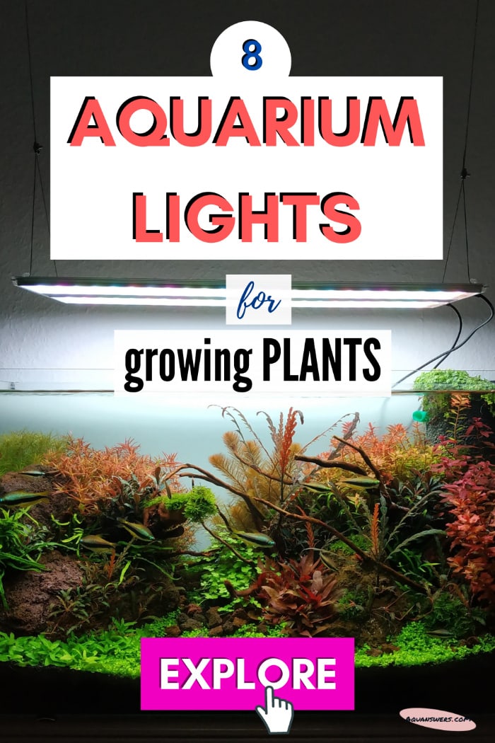 red light for aquarium plants