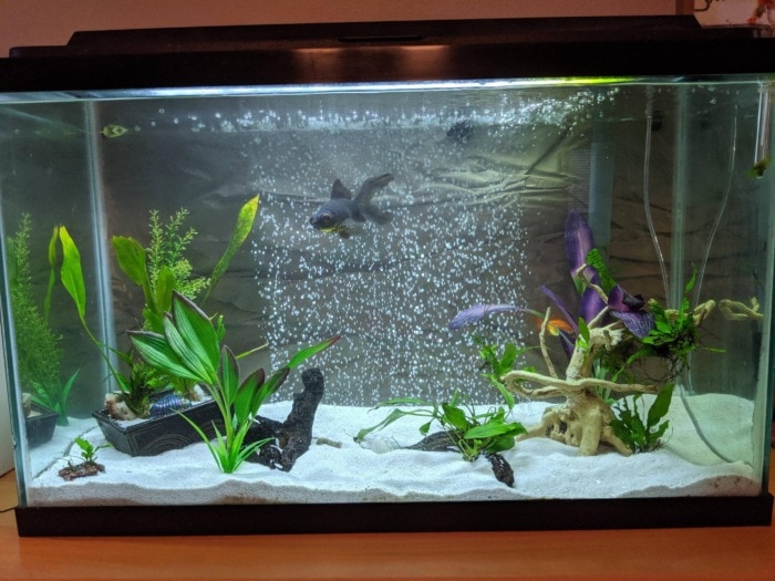 aquarium aerator