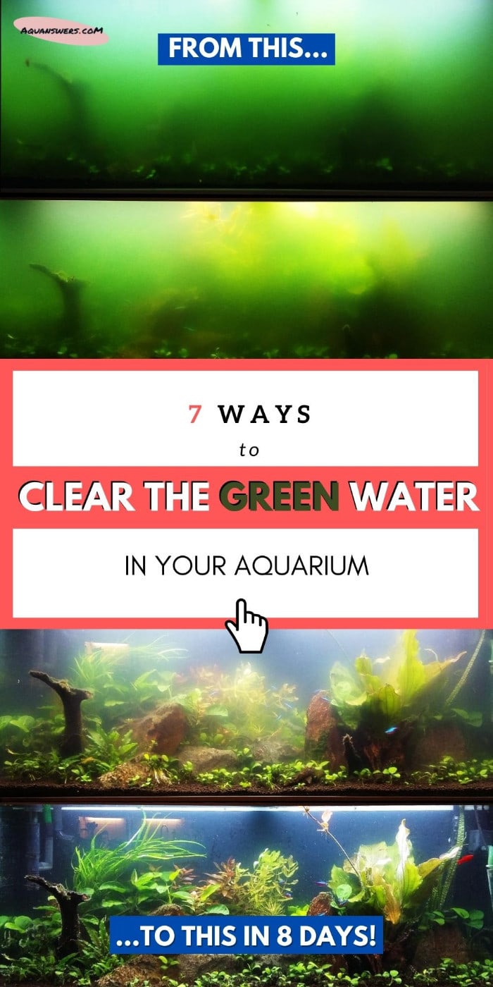 green aquarium water poster
