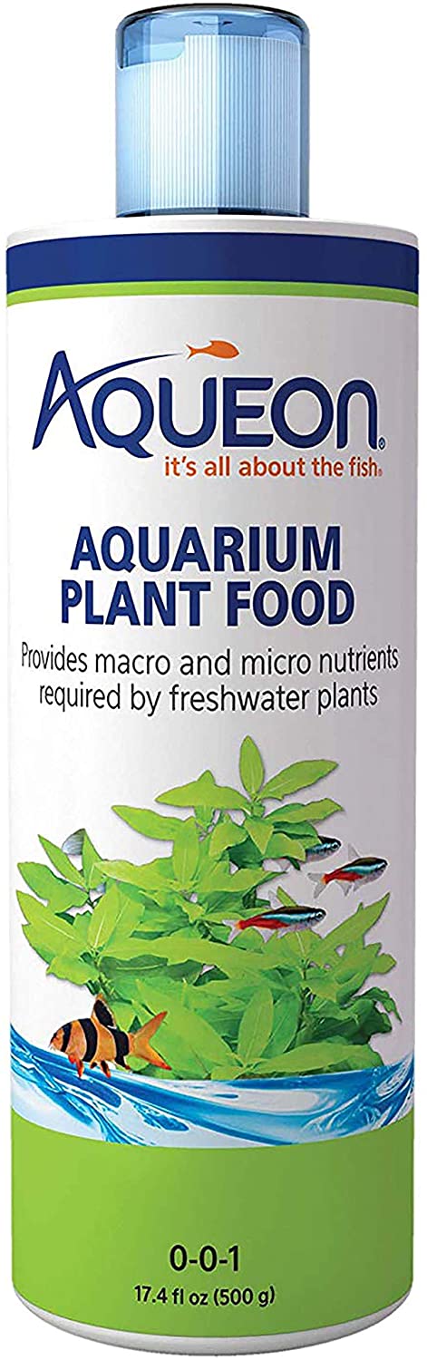 Choosing the Right Aquarium Plant