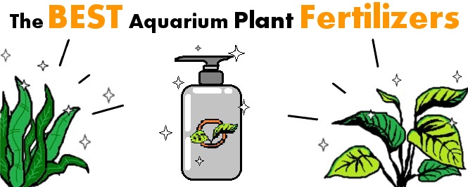 best aquarium fertilizer header
