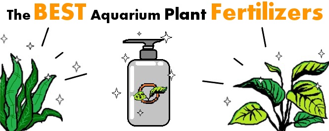 Best Fertilizers Plant Foods For Thriving Aquarium Plants