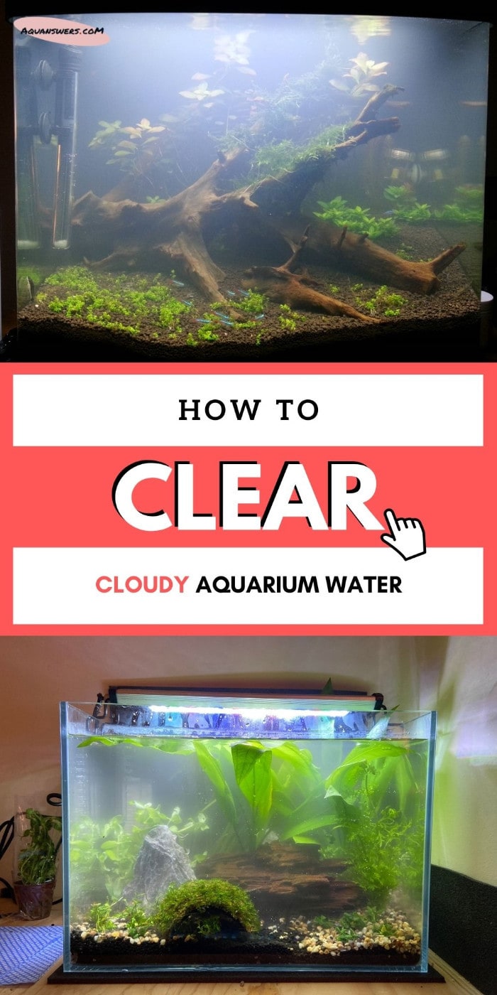 ways to clear cloudy water