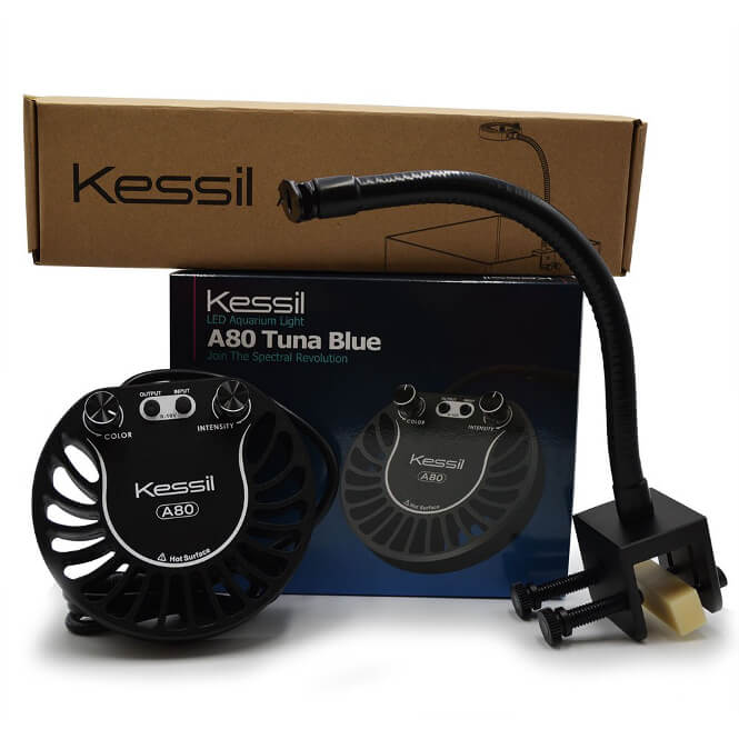 Kessil A80