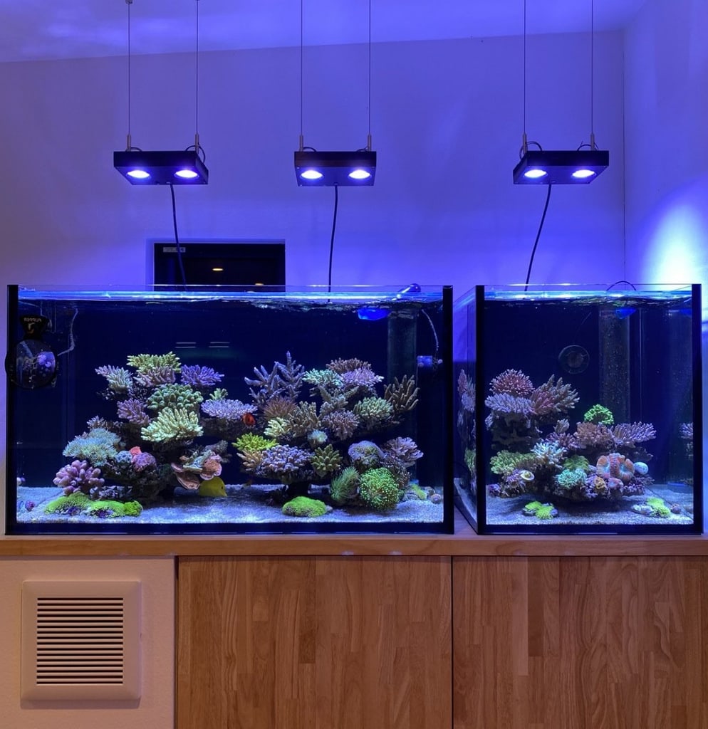 NILIPAL LED Aquarium Light - Coral Reef LED Fish Tank Light Saltwater  Marine Nano Aquarium LPS SPS Lighting 18 Watts