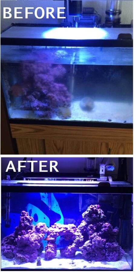A UV water sterilizer clears up the cloudy water in a saltwater fish tank.