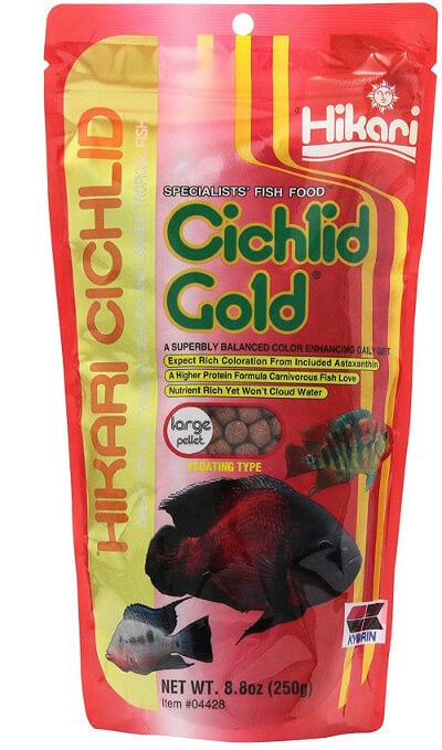 hikari cichlid gold