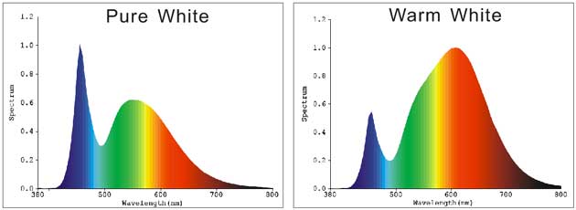 warm and cool white led light spectrum