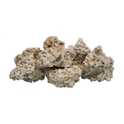 AWW0888 atlantic coral rock