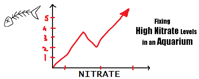 high nitrate in aquarium header