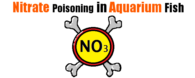 Nitrate Poisoning In Aquarium Fish: Causes And Cures | Aquanswers