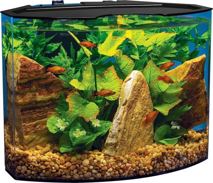 tetra crescent aquarium kit