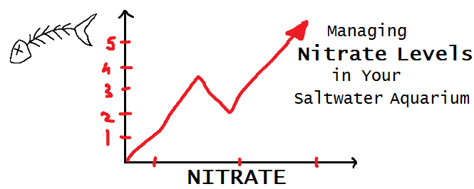 nitrate levels in saltwater aquarium header
