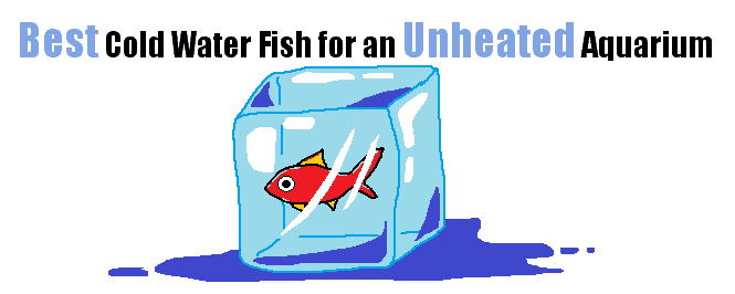 best cold water fish header